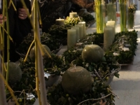 DSC01115.jpg