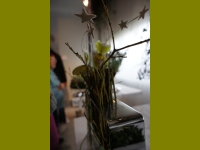 DSC01119.jpg