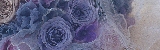 BF_preser_02_04.jpg