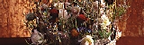 99.jpg
